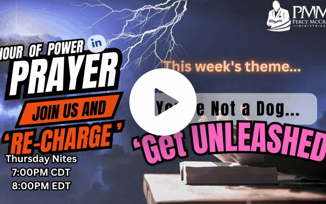 ‘You’re Not a Dog, Get UNLEASHED’